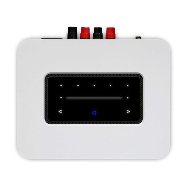 Bluesound Powernode wit top