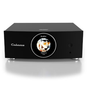 Cabasse AMP 240 S